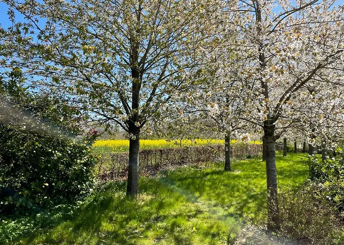 Altes Taubenhaus By Interhome Zarrentin (Vorpommern-Rugen)
